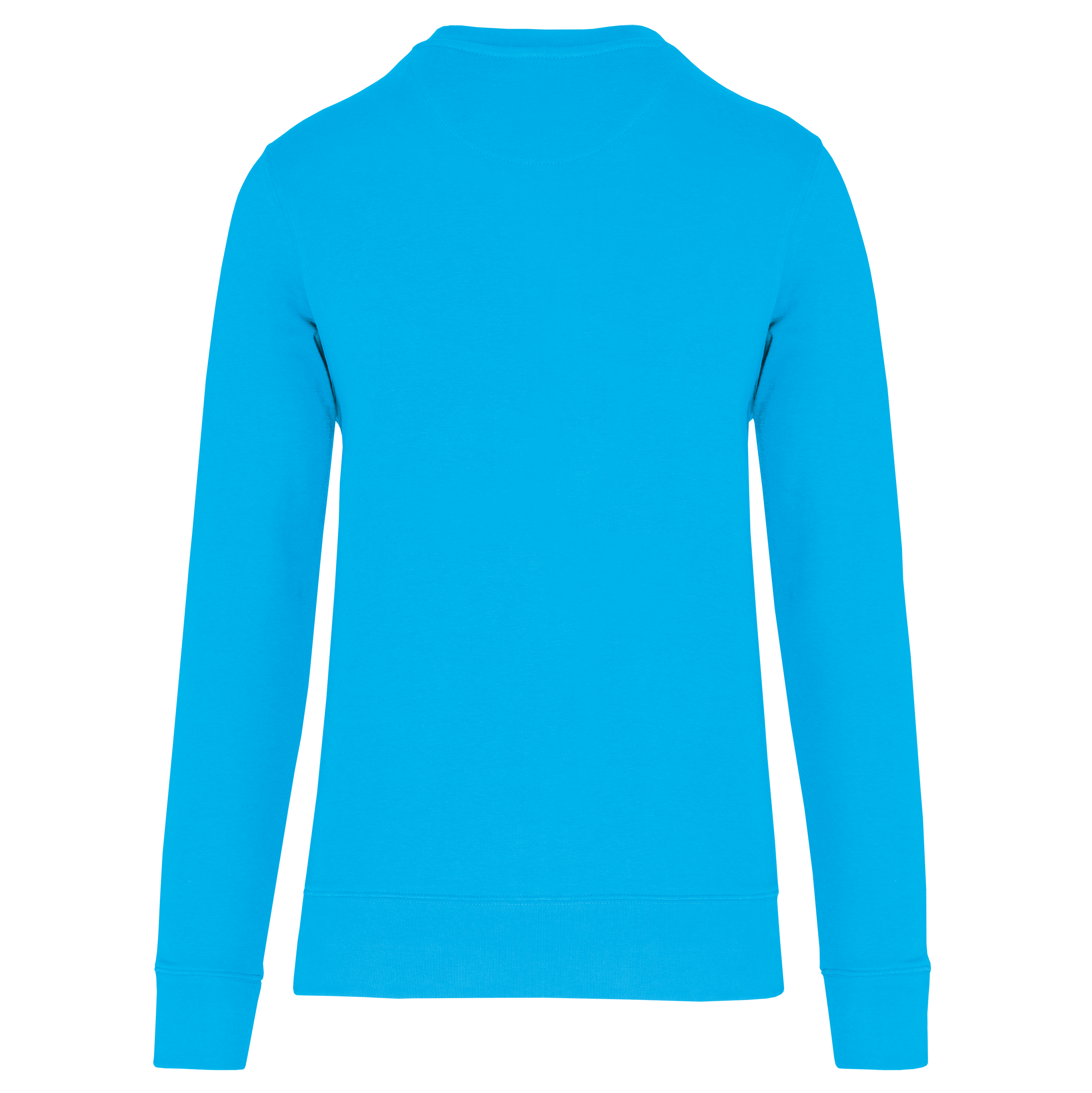 Sea Turquoise