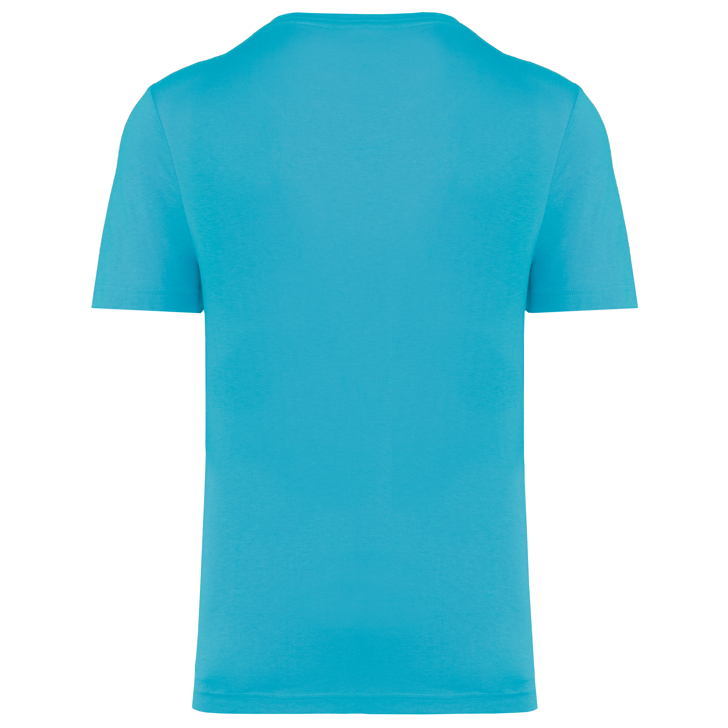 Light Turquoise