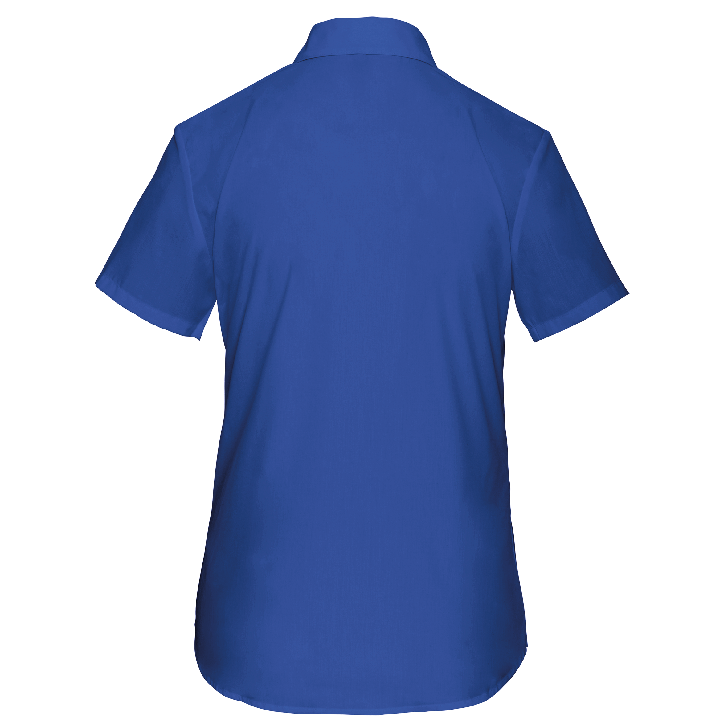 Light Royal Blue