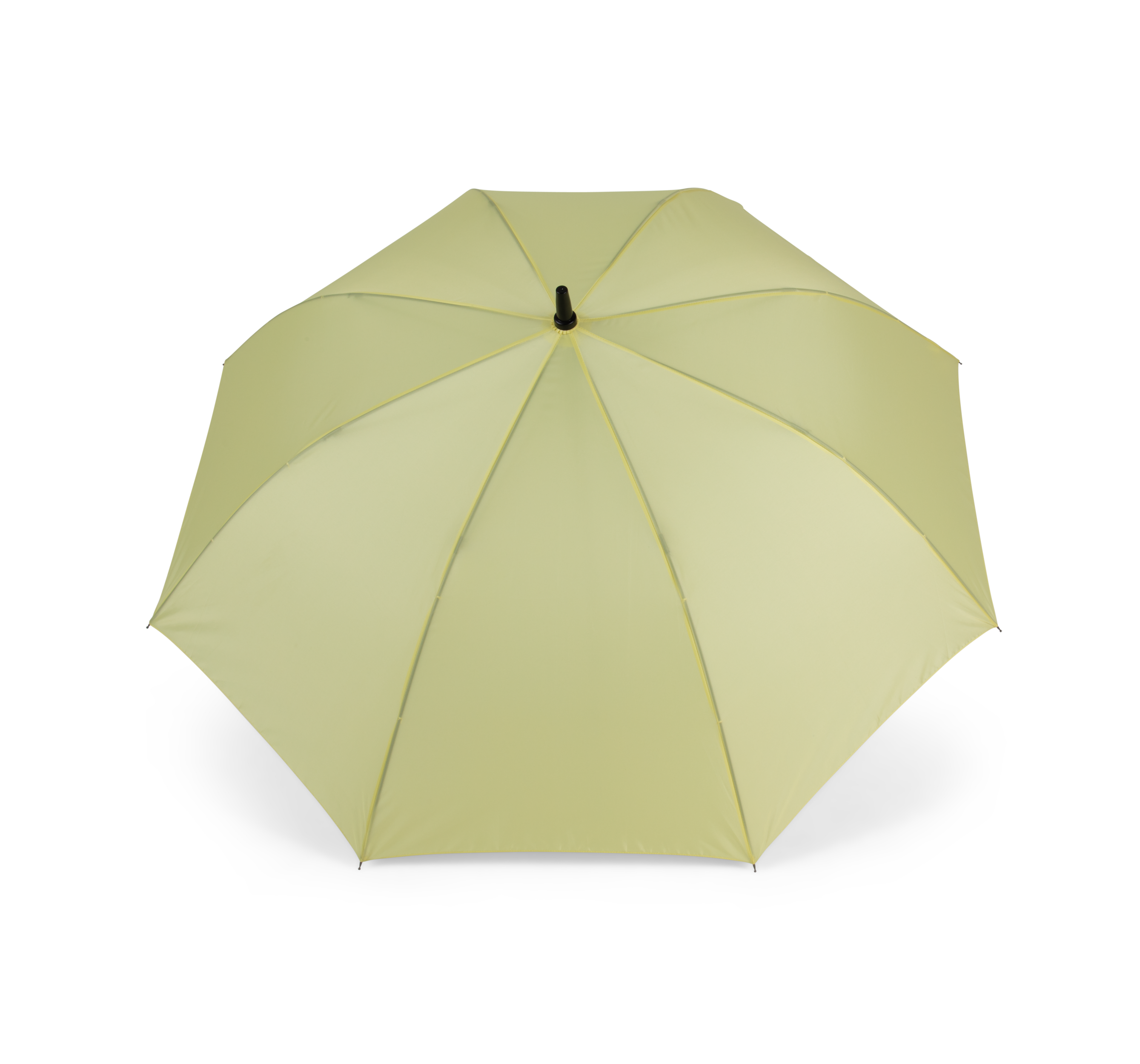 Lemon Yellow