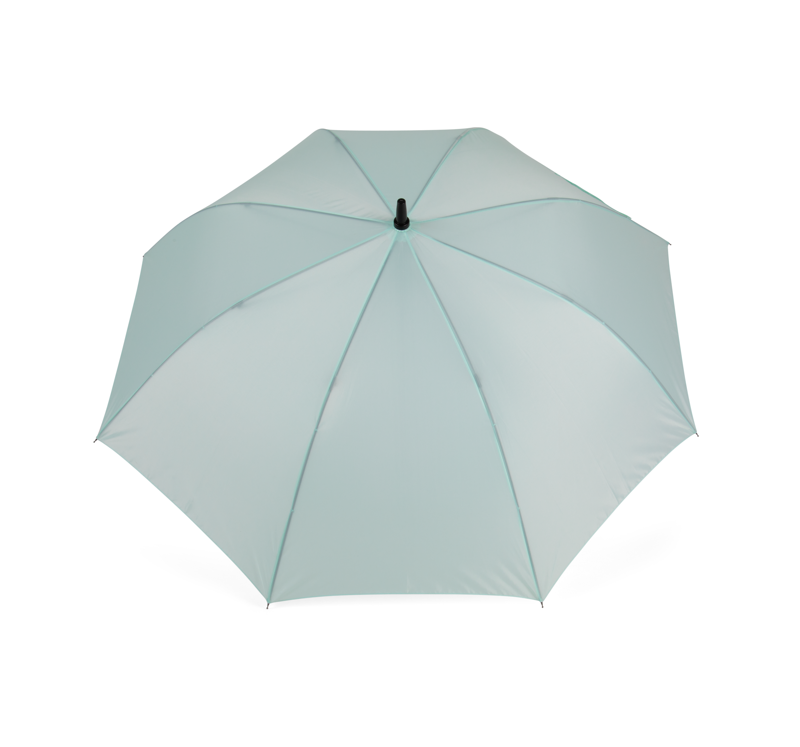 Ice Mint