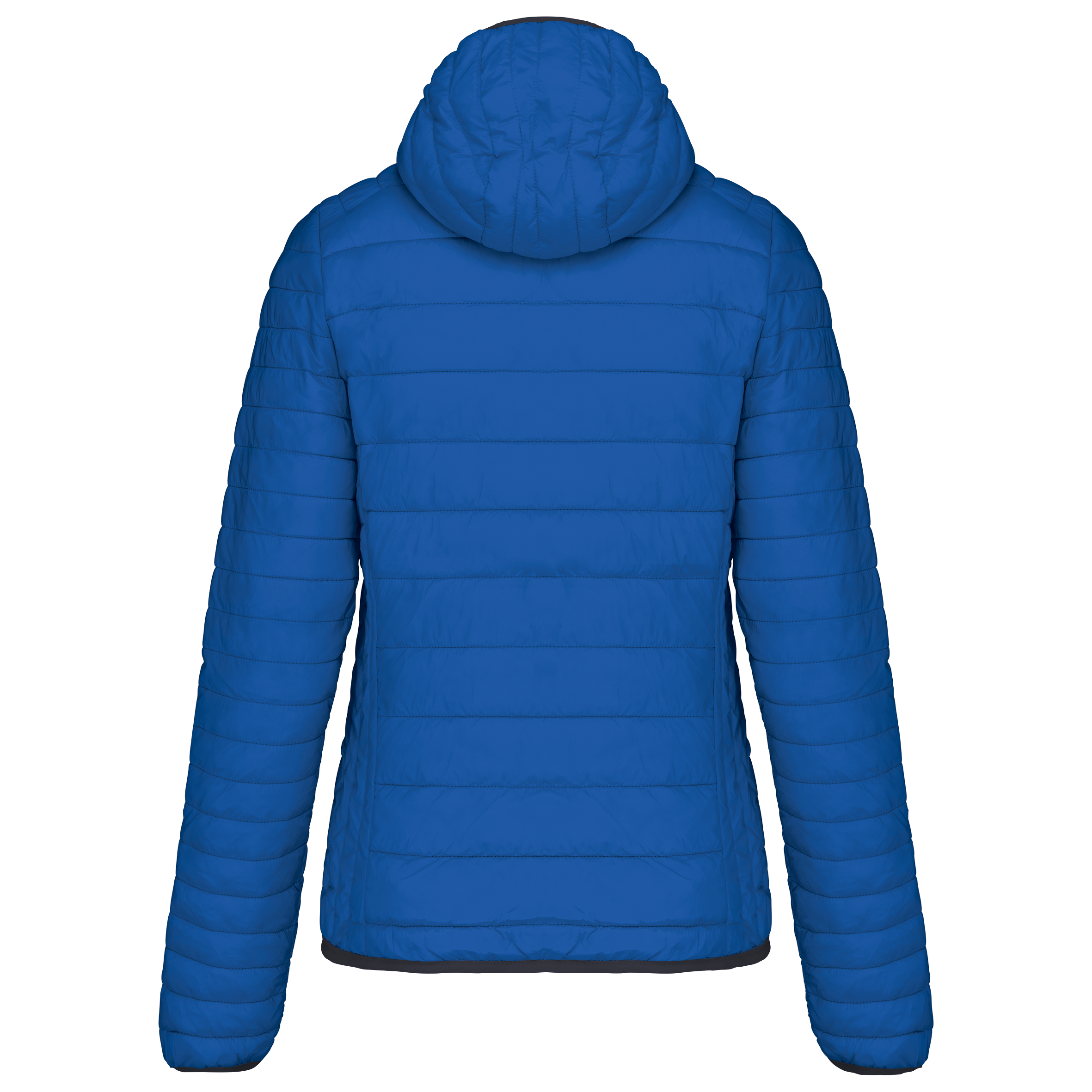 Light Royal Blue