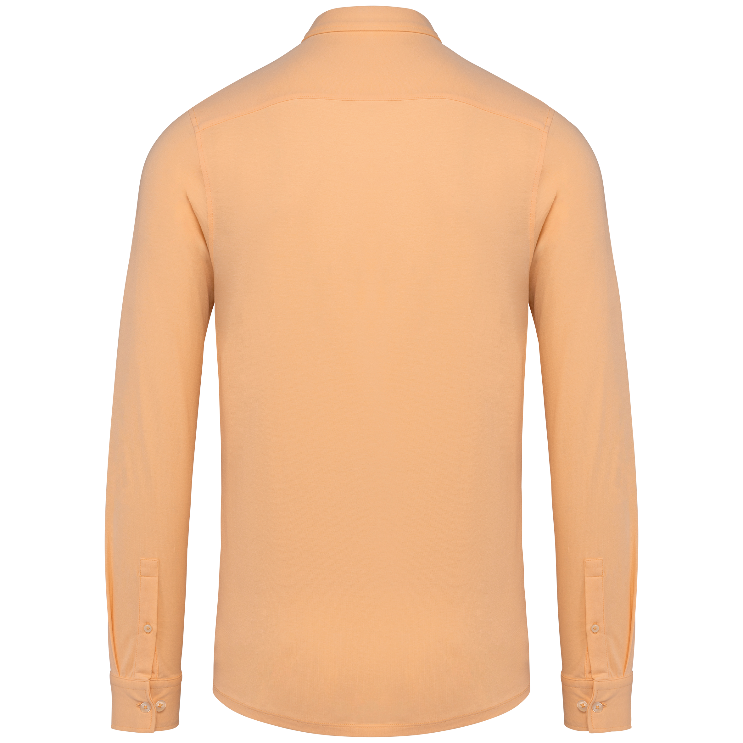 Pastel Apricot