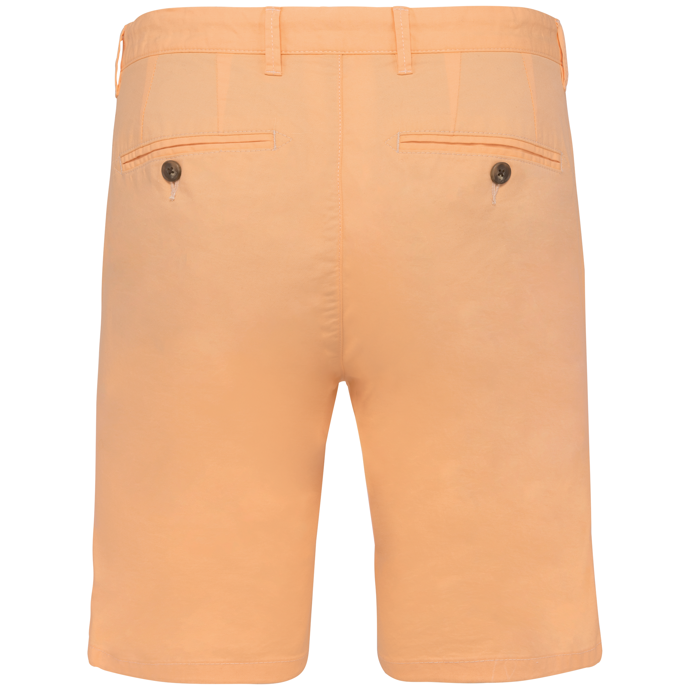 Pastel Apricot