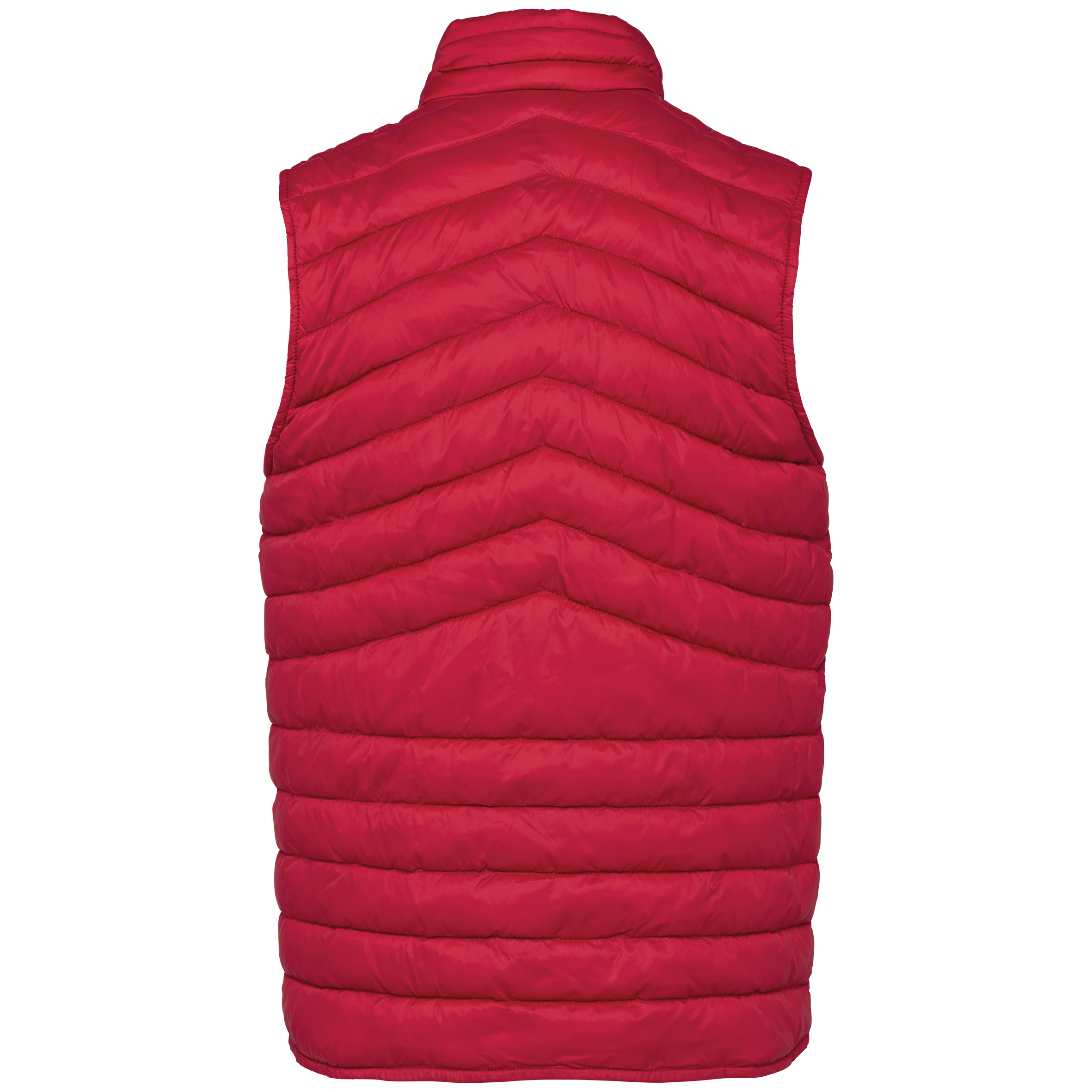Hibiscus Red
