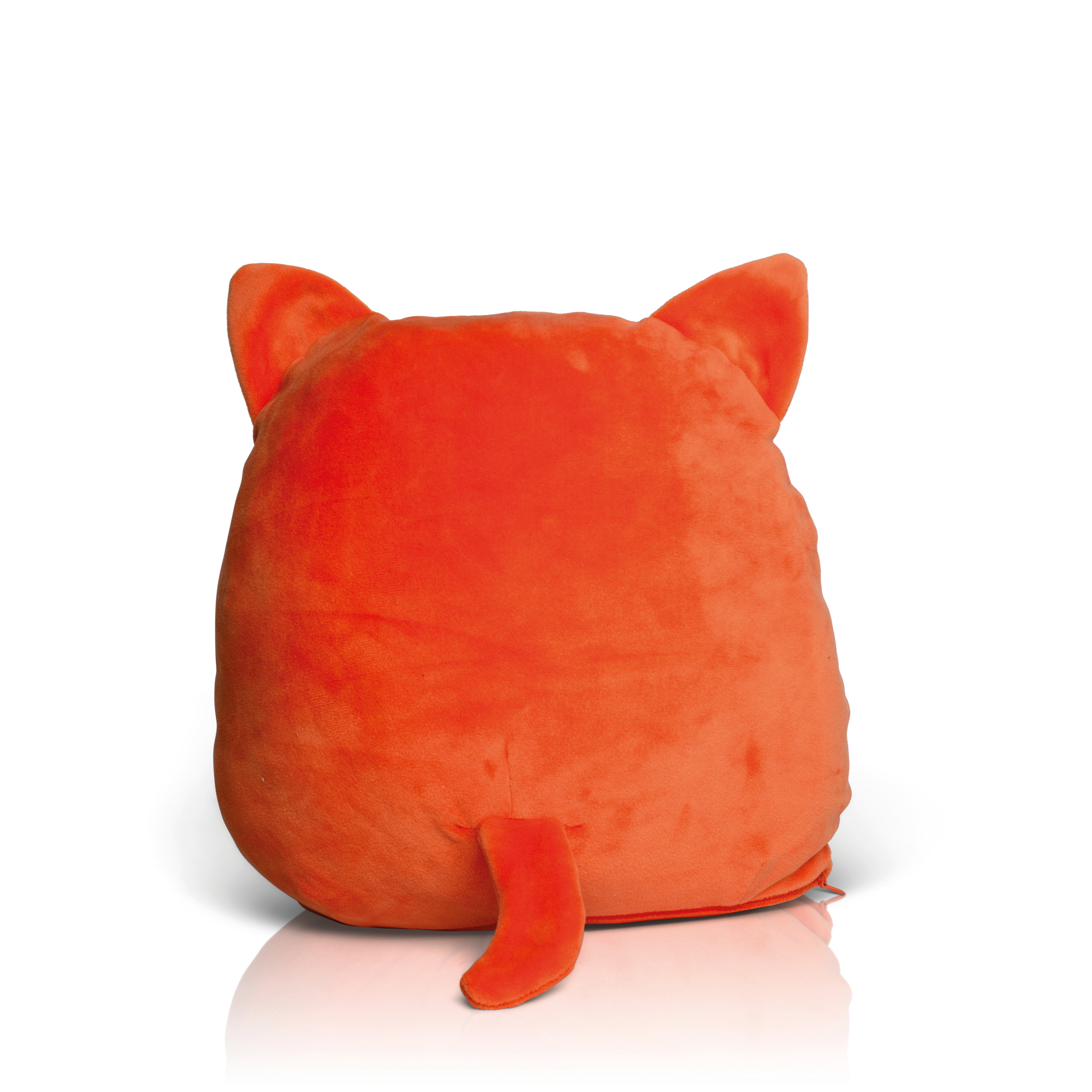 Ginger Cat