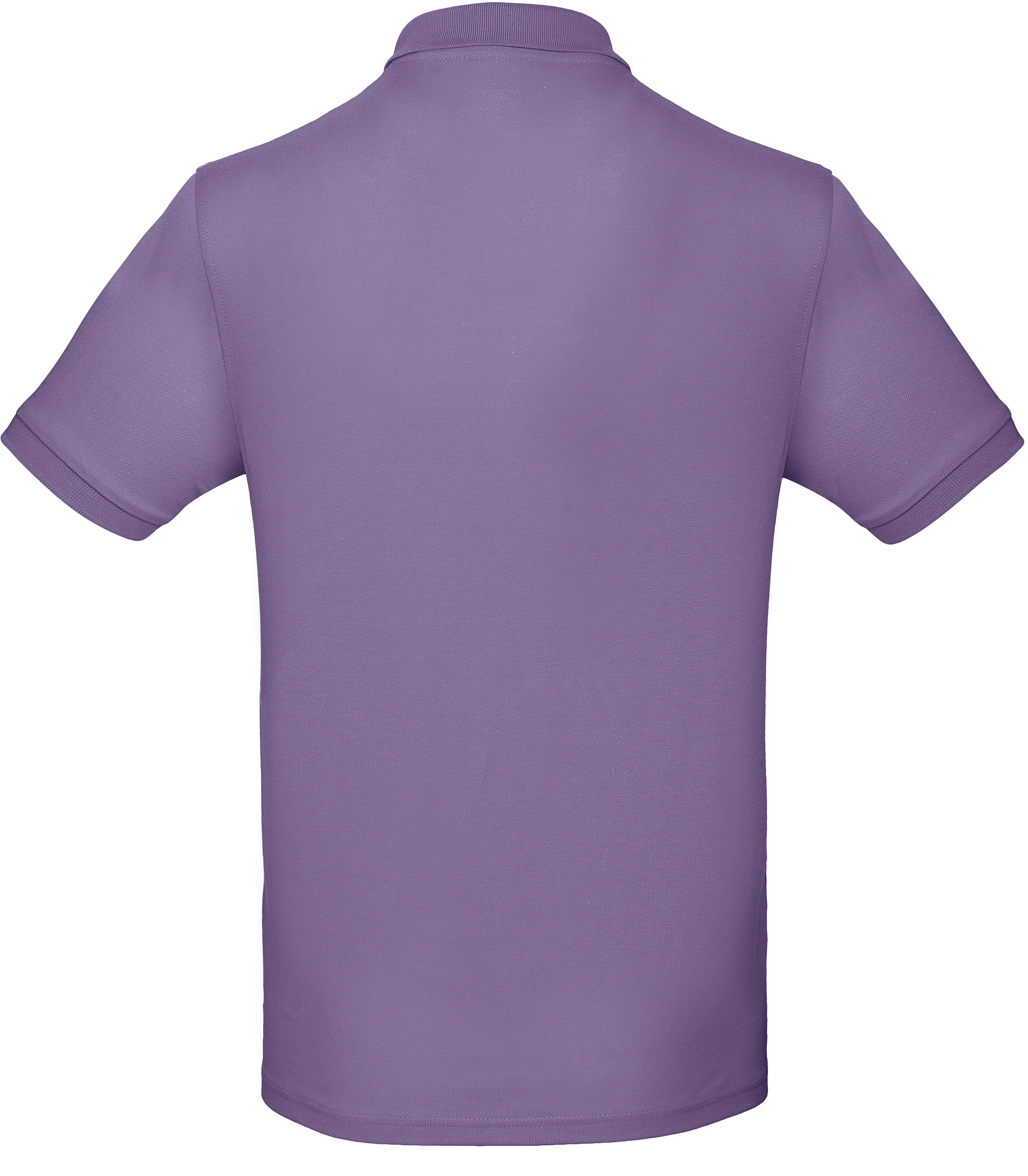 Millennial Lilac