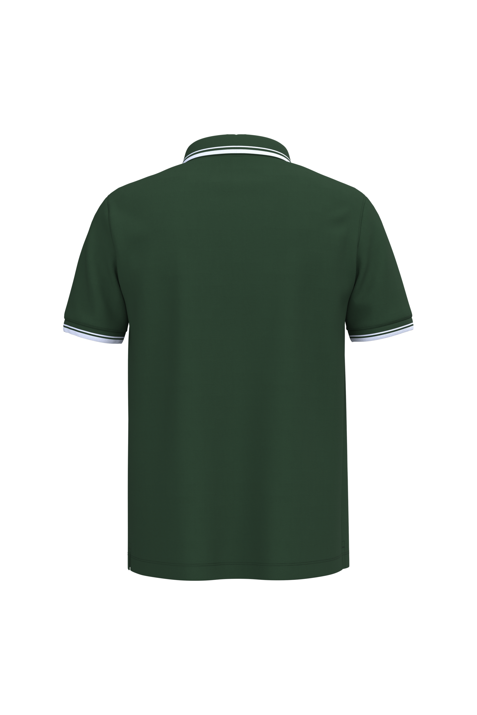 Forest Green / White