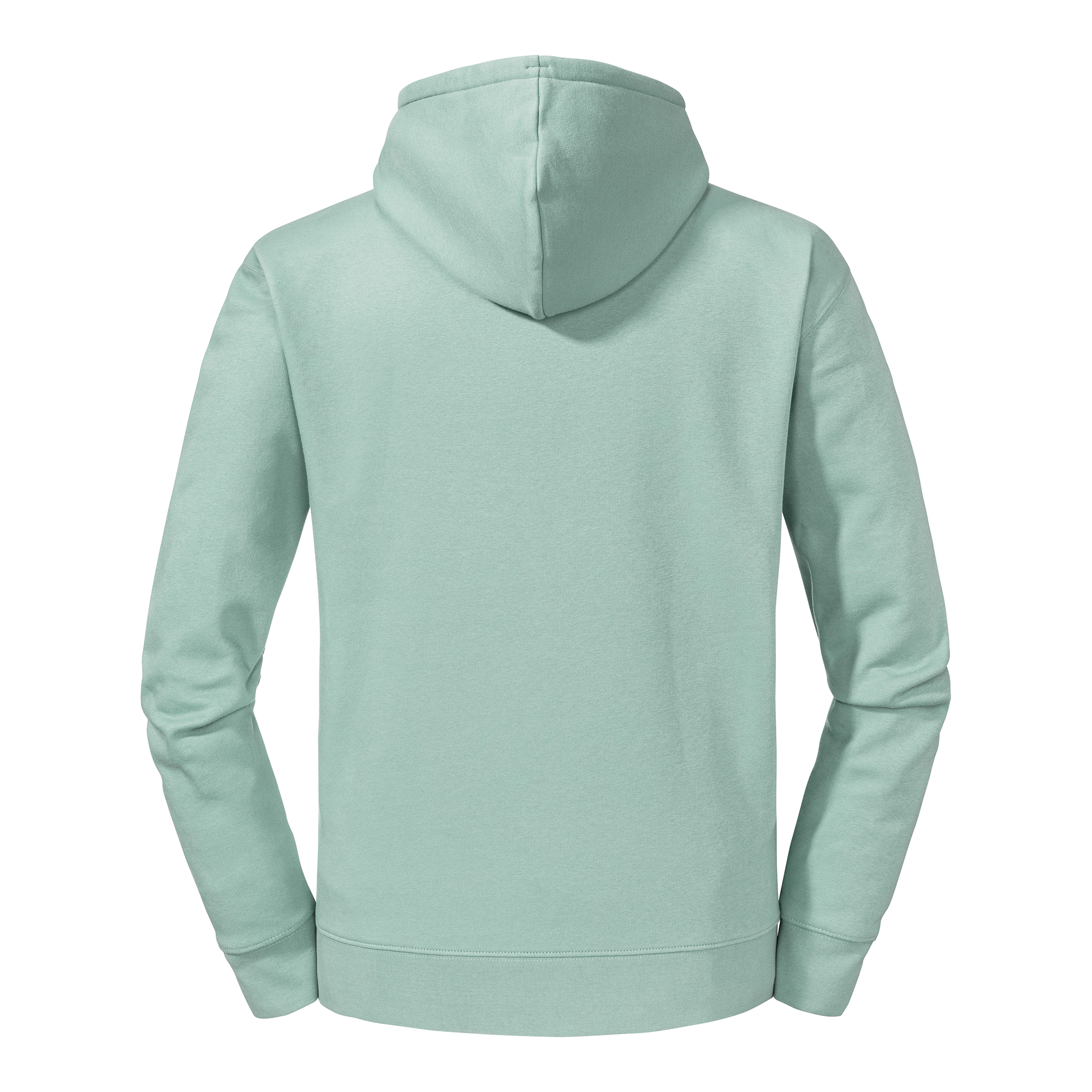 Eucalyptus Green