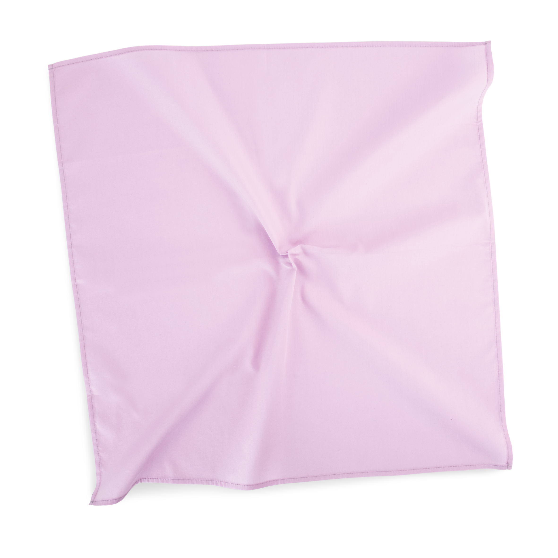 Blush Orchid