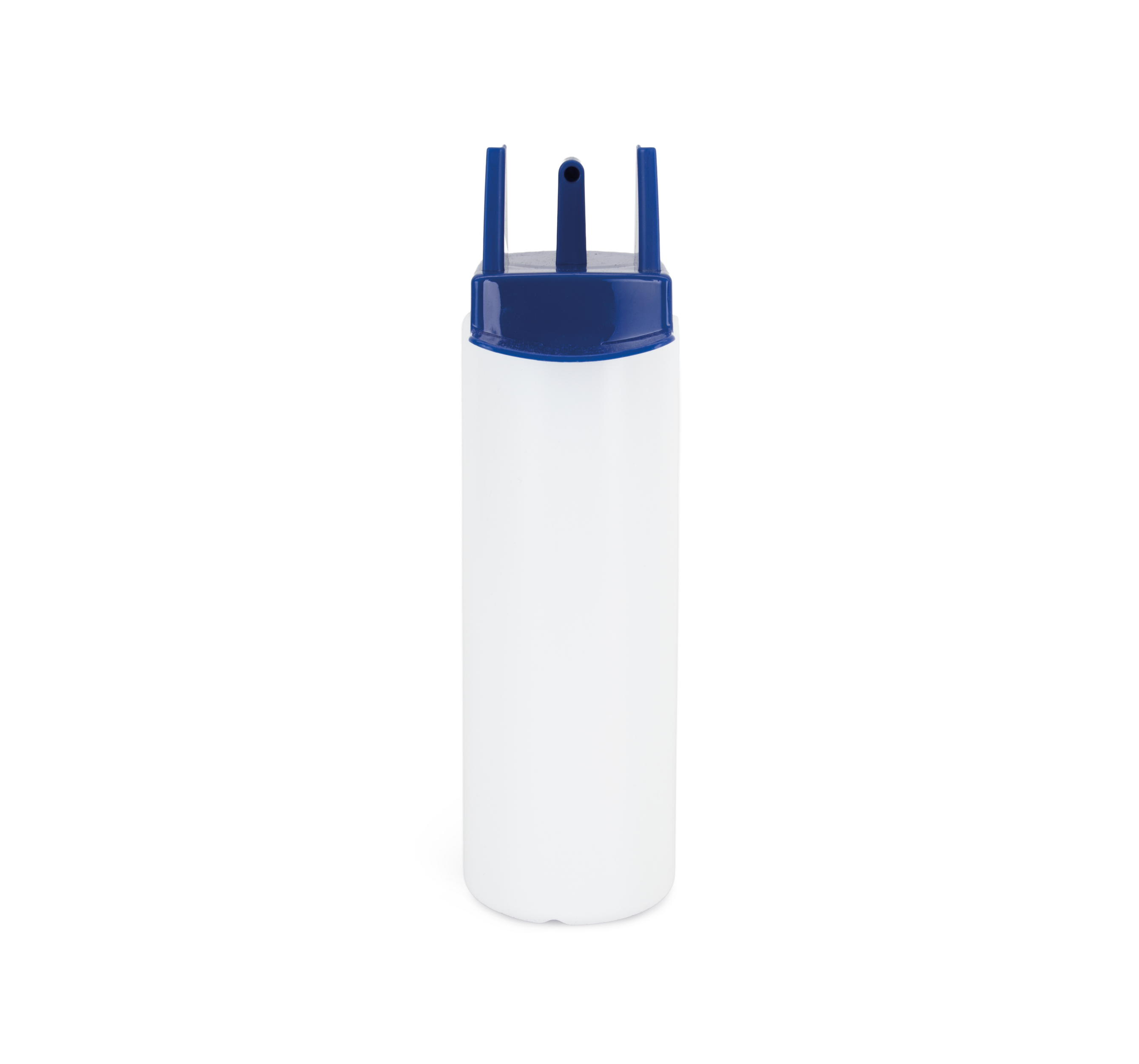 White / Royal Blue